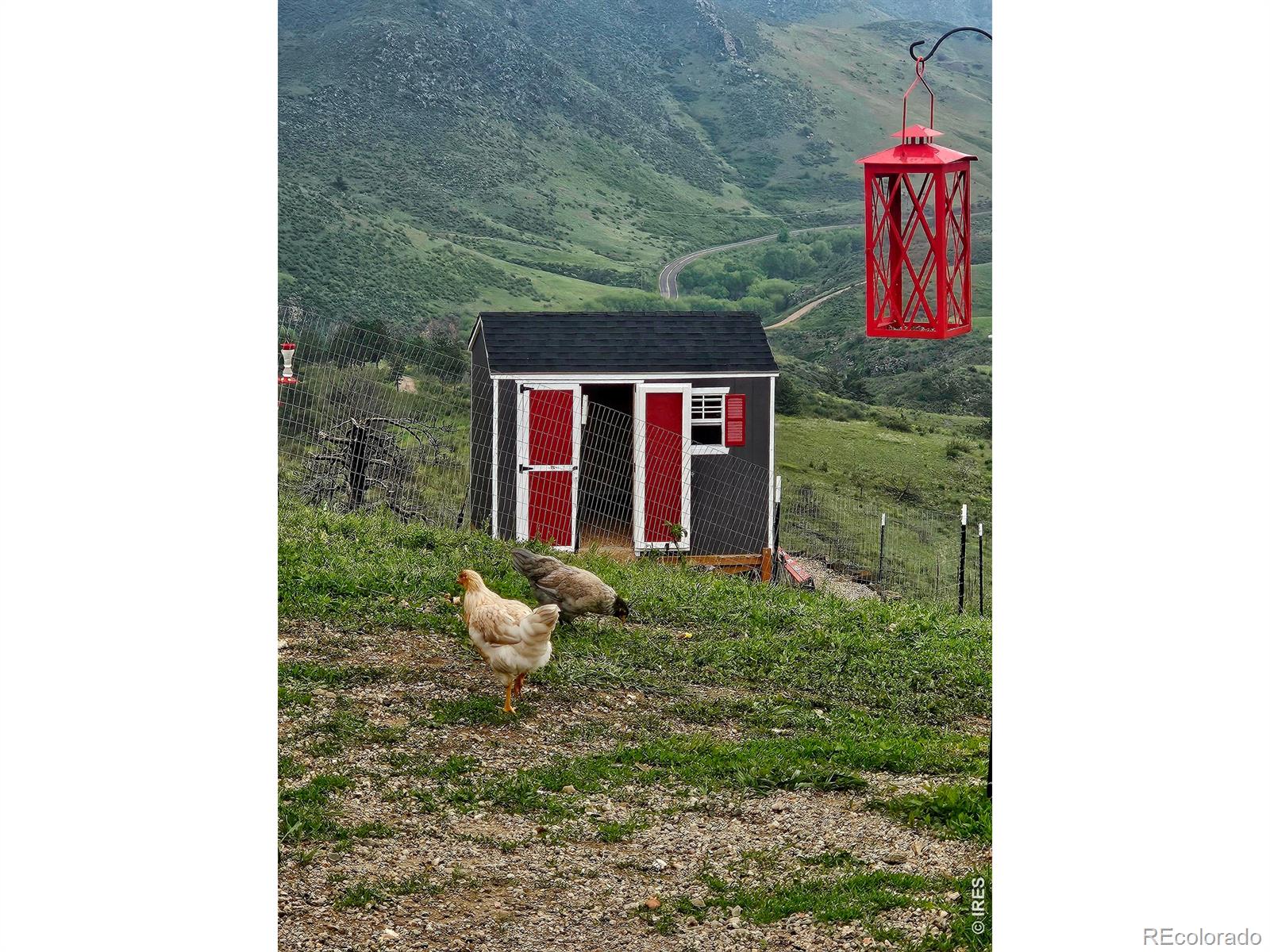 957 Stringtown Gulch Road Bellvue CO 80512