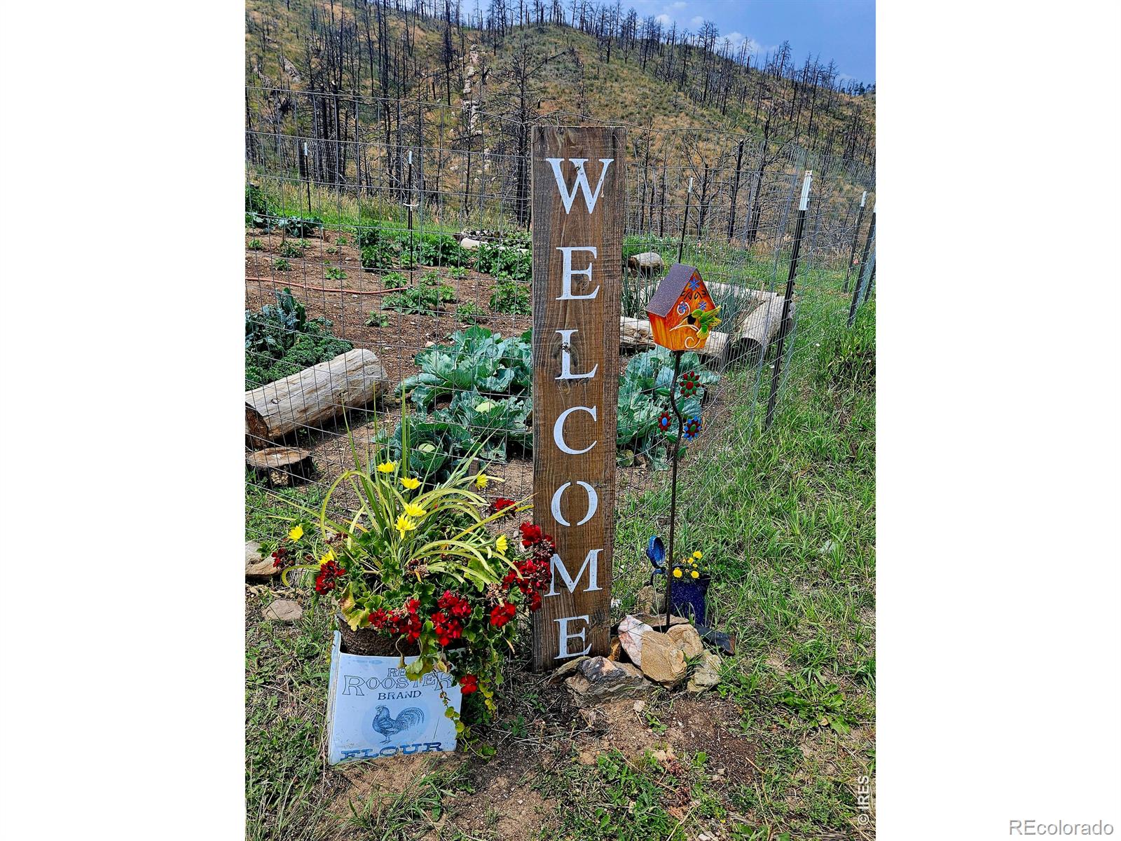 957 Stringtown Gulch Road Bellvue CO 80512