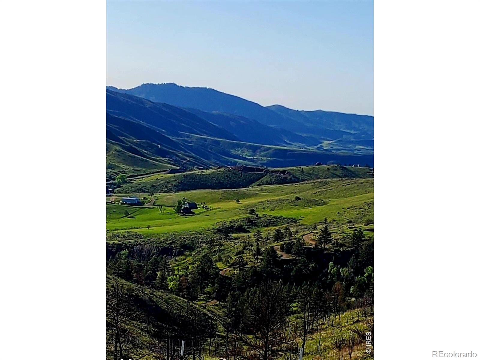 957 Stringtown Gulch Road Bellvue CO 80512