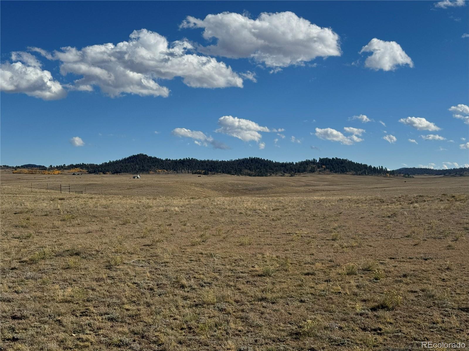 00 Arapahoe Road Hartsel CO 80449