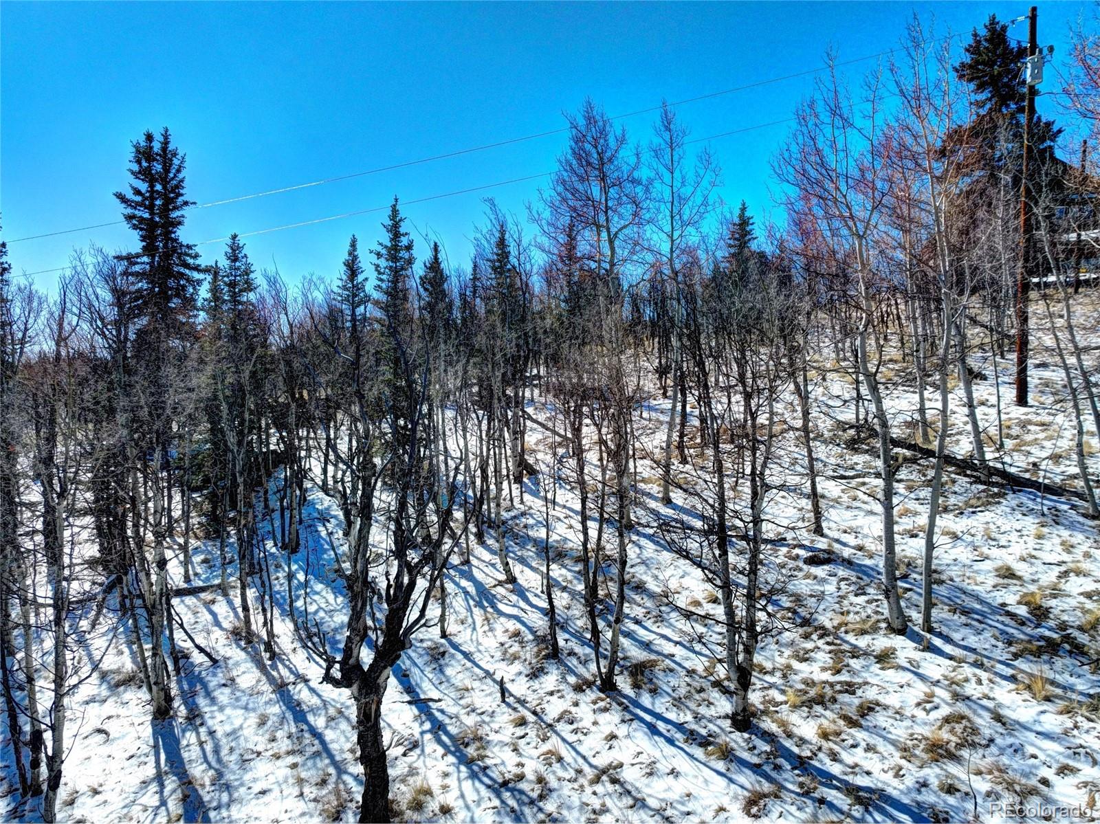 445 Warpath Road Como CO 80432