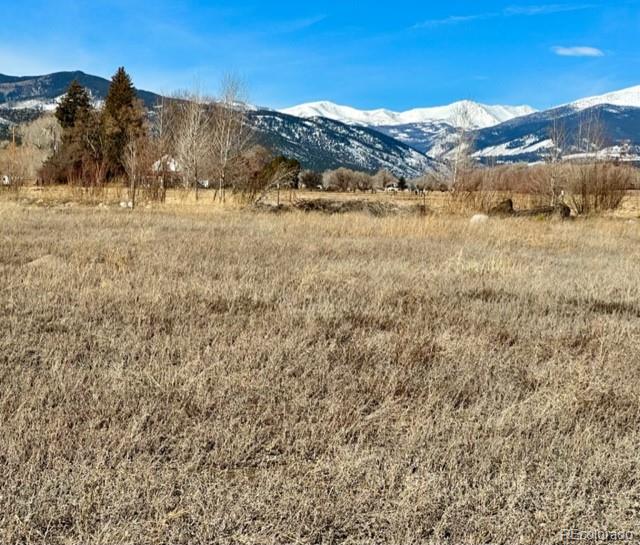 810 Hoover Circle Poncha Springs CO 81242