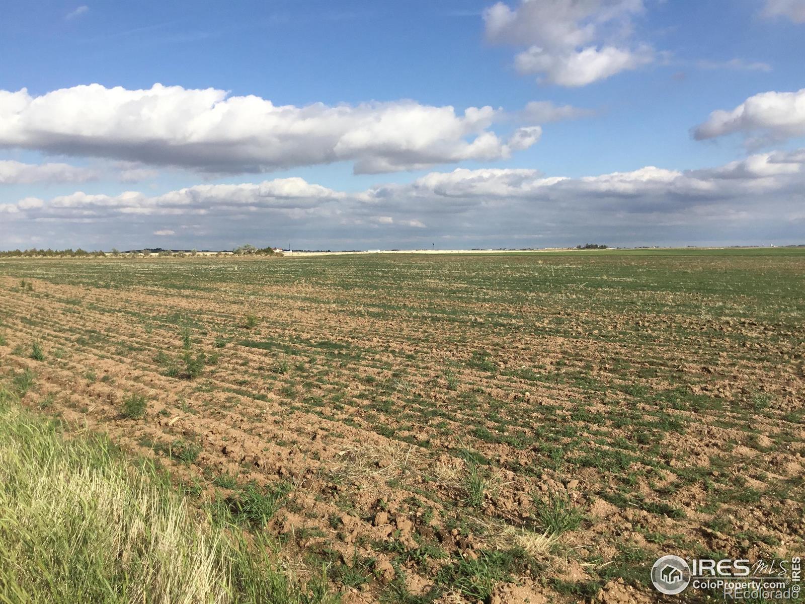 County Road 96 Road Nunn CO 80648