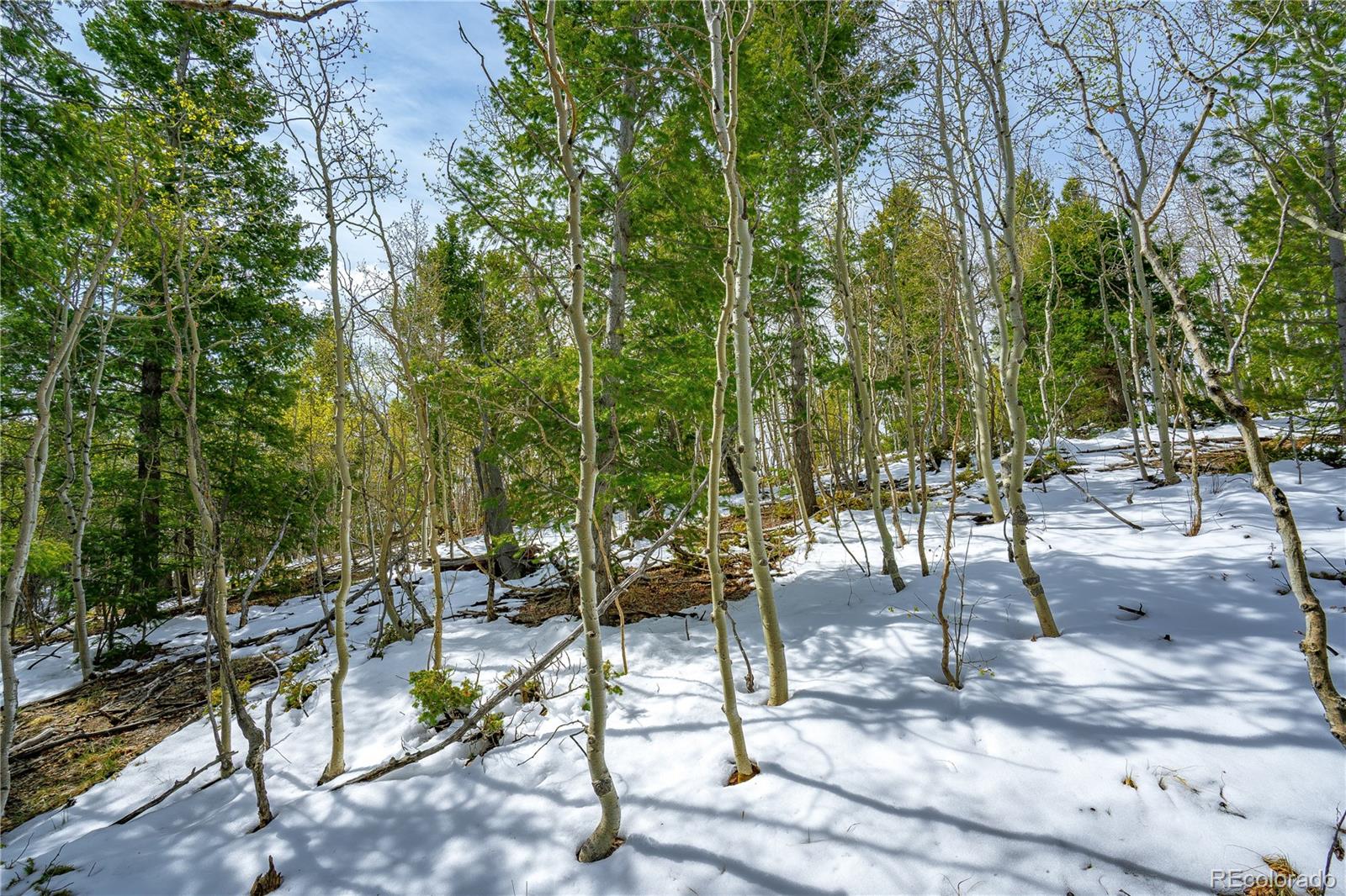 192 Deadwood Road Cripple Creek CO 80813
