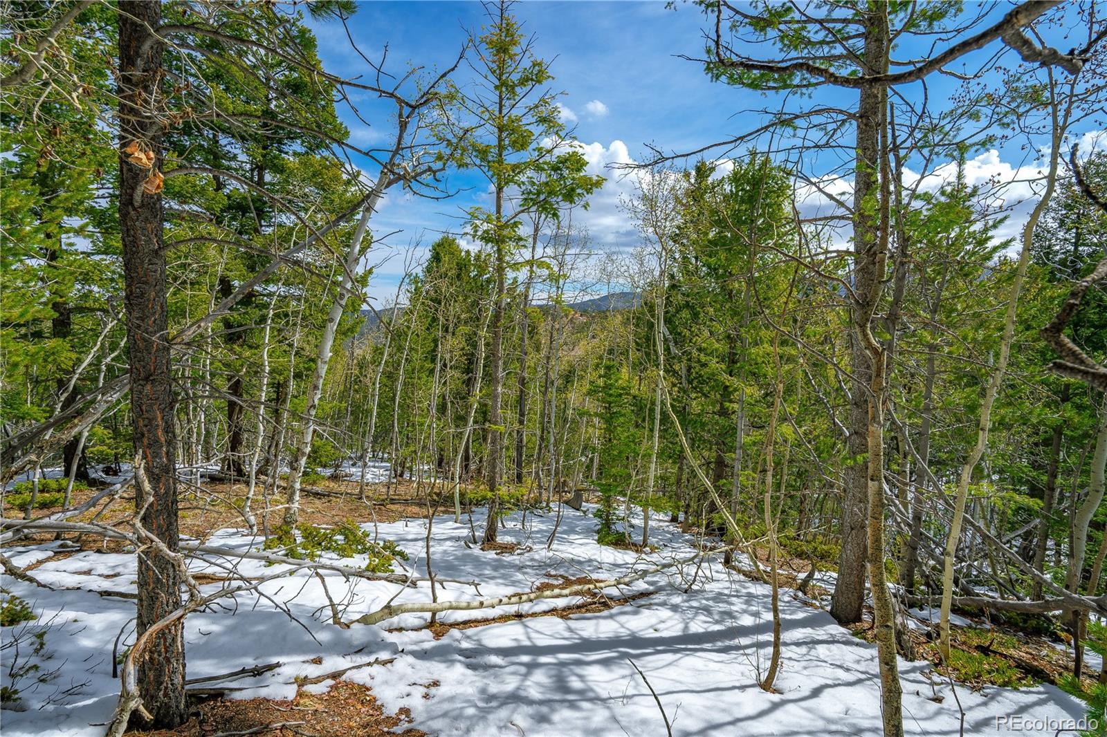 192 Deadwood Road Cripple Creek CO 80813