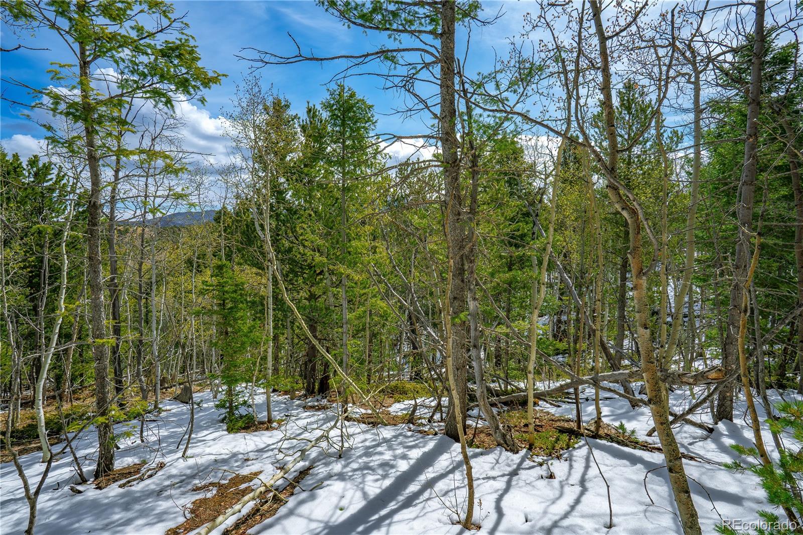 192 Deadwood Road Cripple Creek CO 80813
