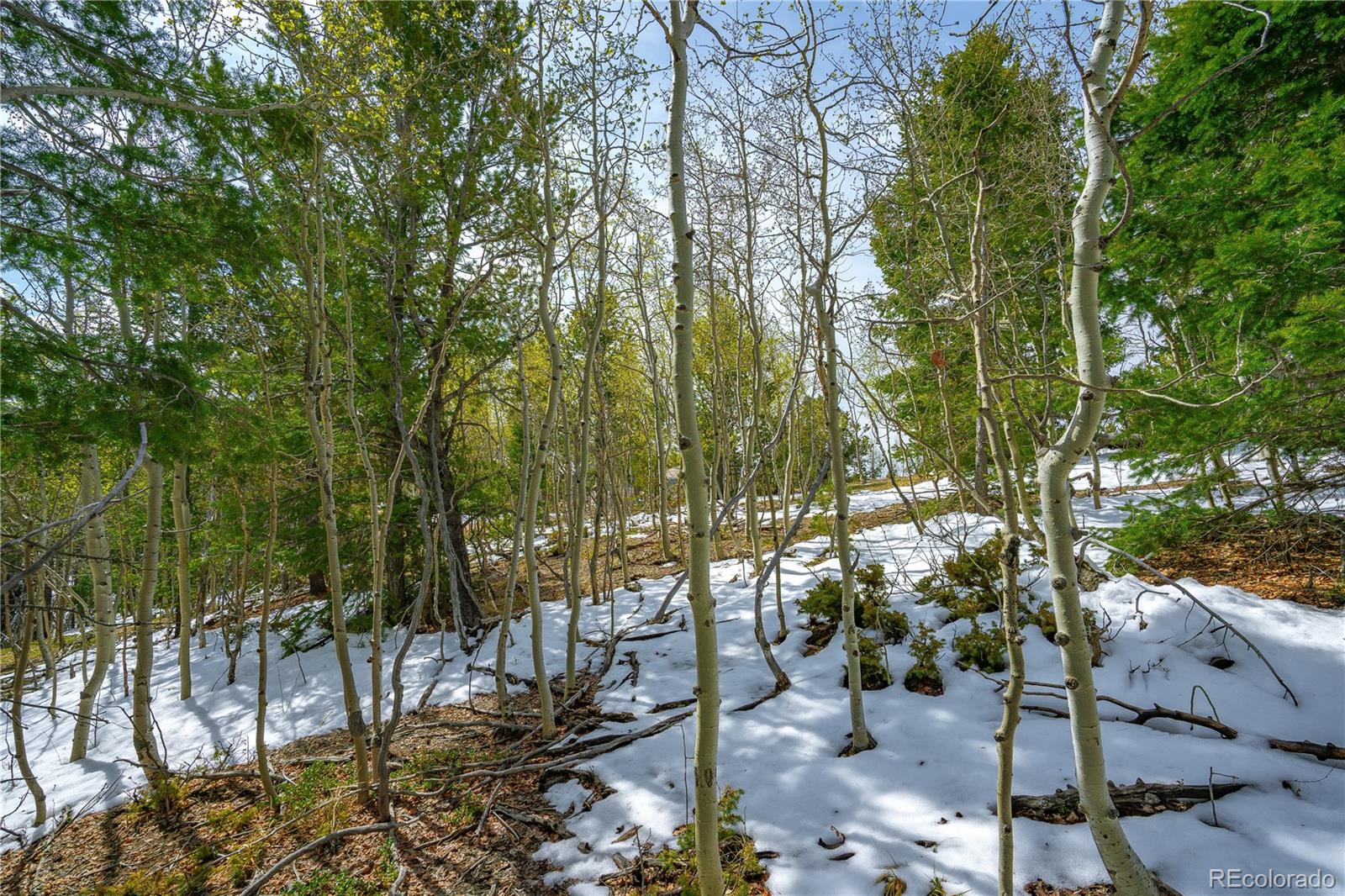 192 Deadwood Road Cripple Creek CO 80813