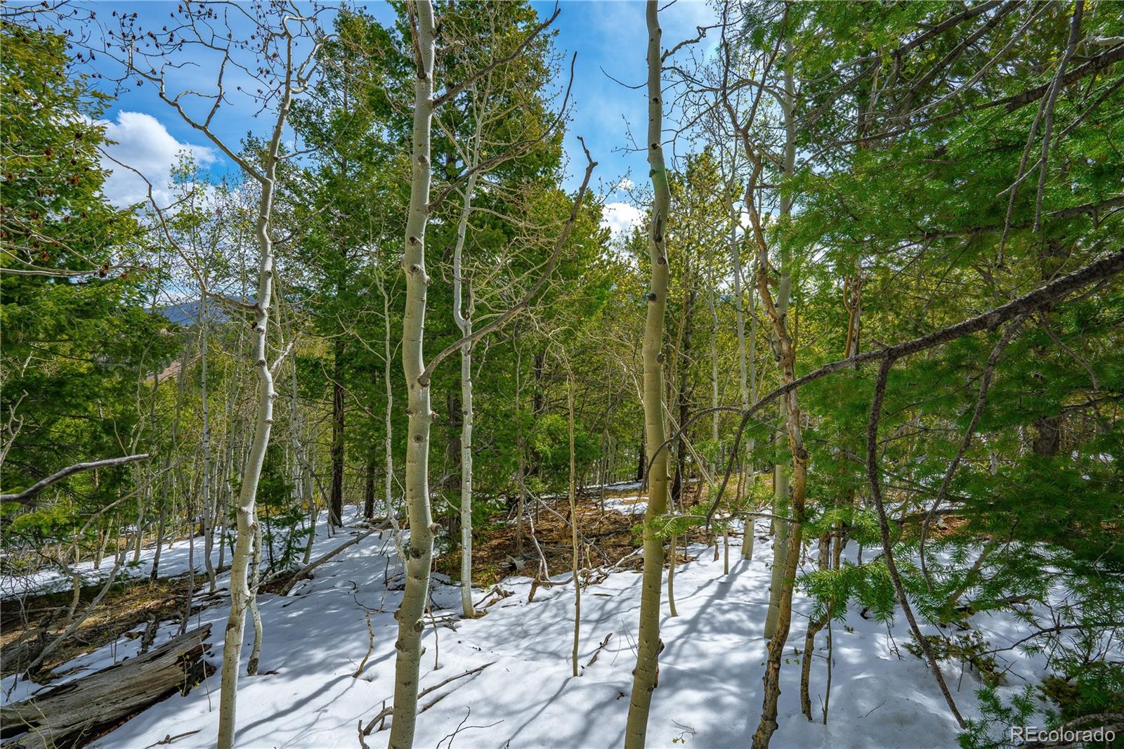 192 Deadwood Road Cripple Creek CO 80813