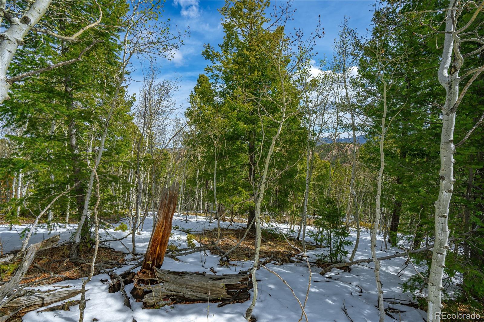 192 Deadwood Road Cripple Creek CO 80813