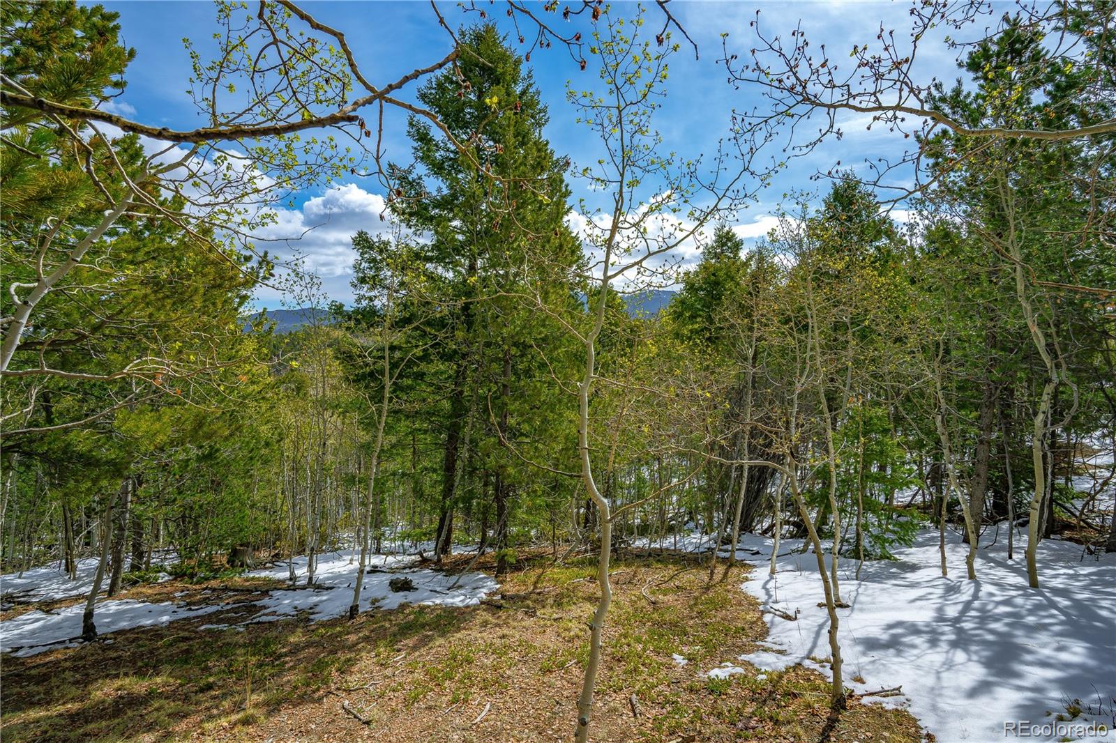 192 Deadwood Road Cripple Creek CO 80813
