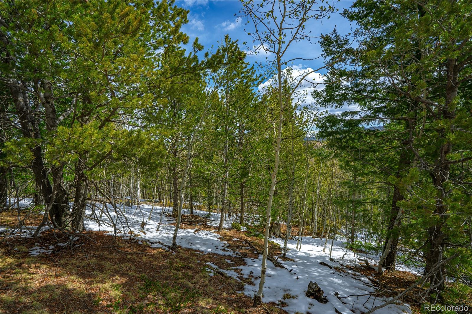 192 Deadwood Road Cripple Creek CO 80813