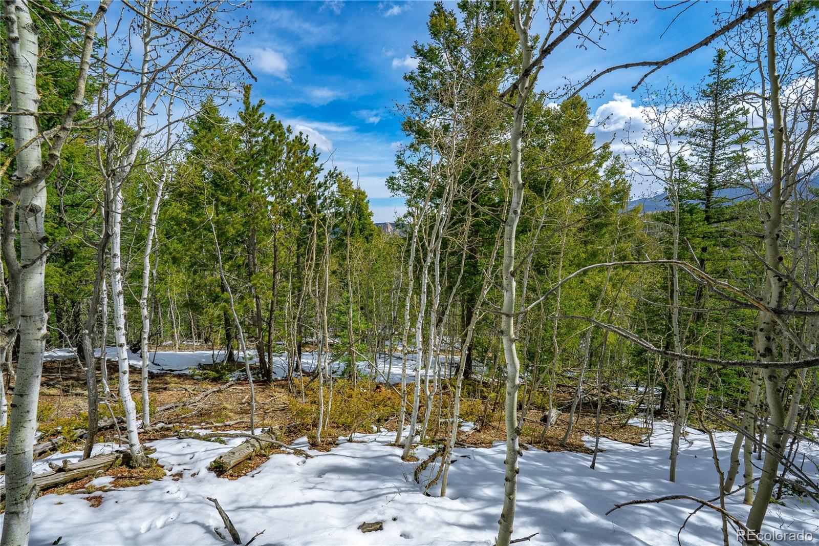 192 Deadwood Road Cripple Creek CO 80813