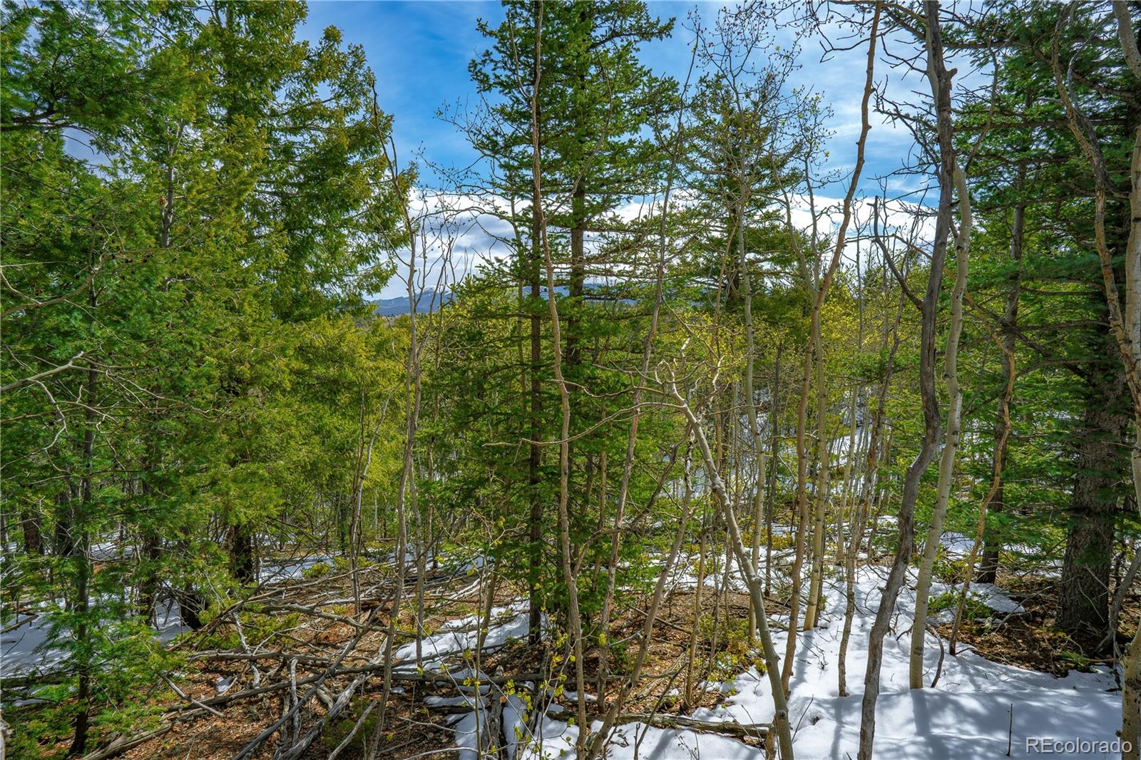 192 Deadwood Road Cripple Creek CO 80813