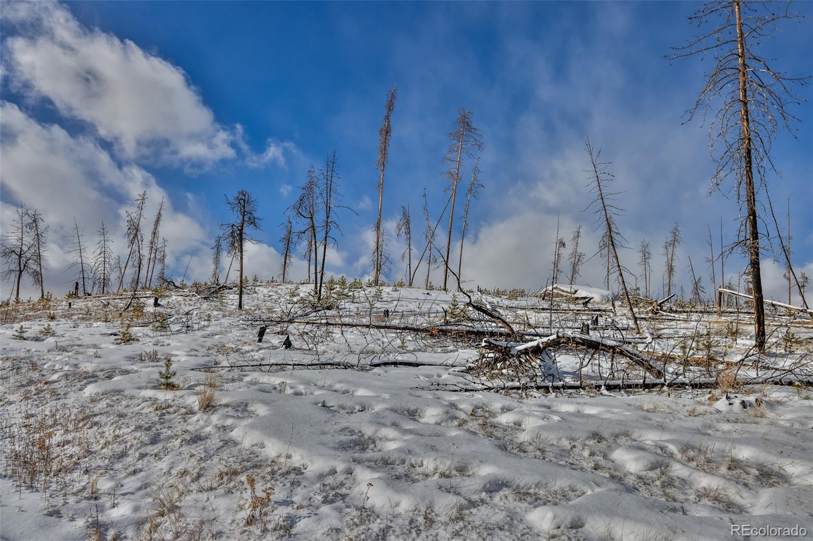 Womack Grand Lake CO 80447