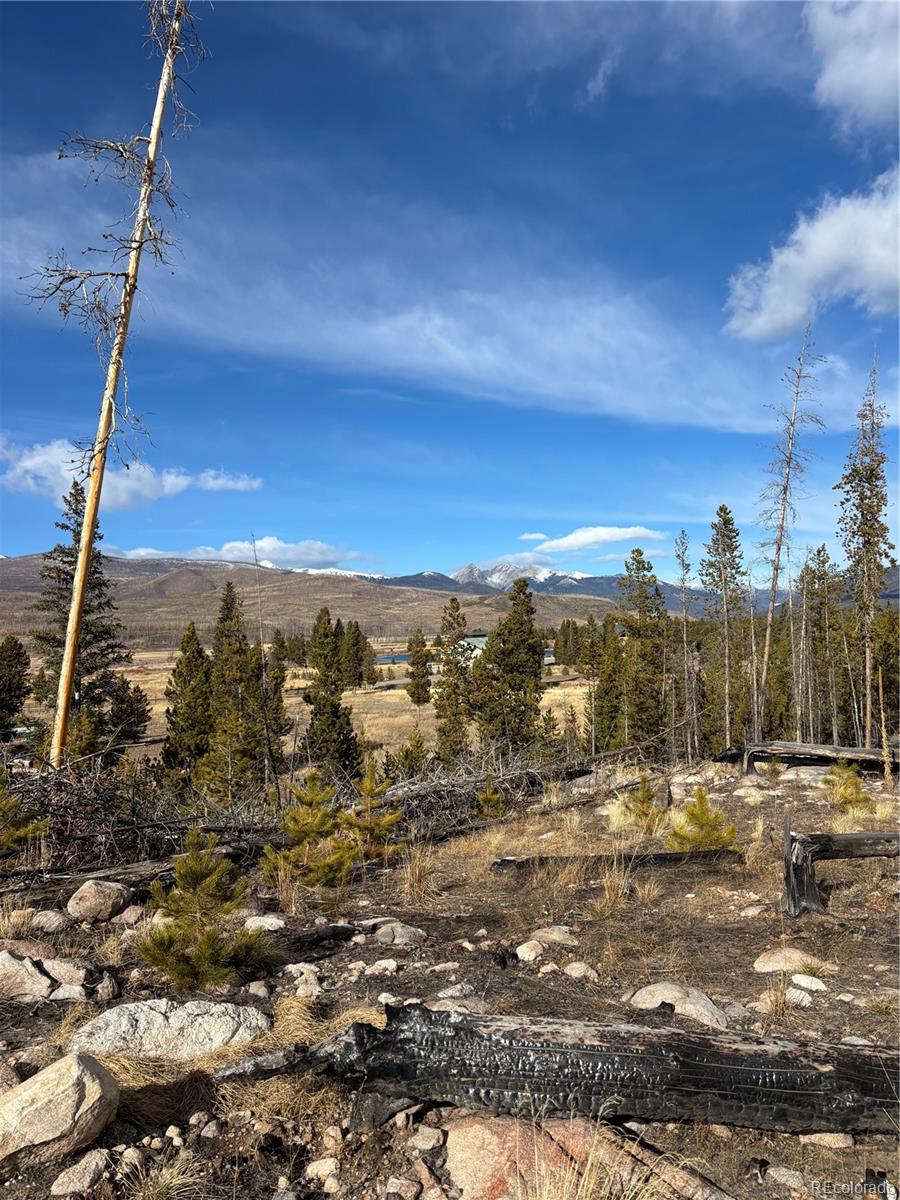 Womack Grand Lake CO 80447