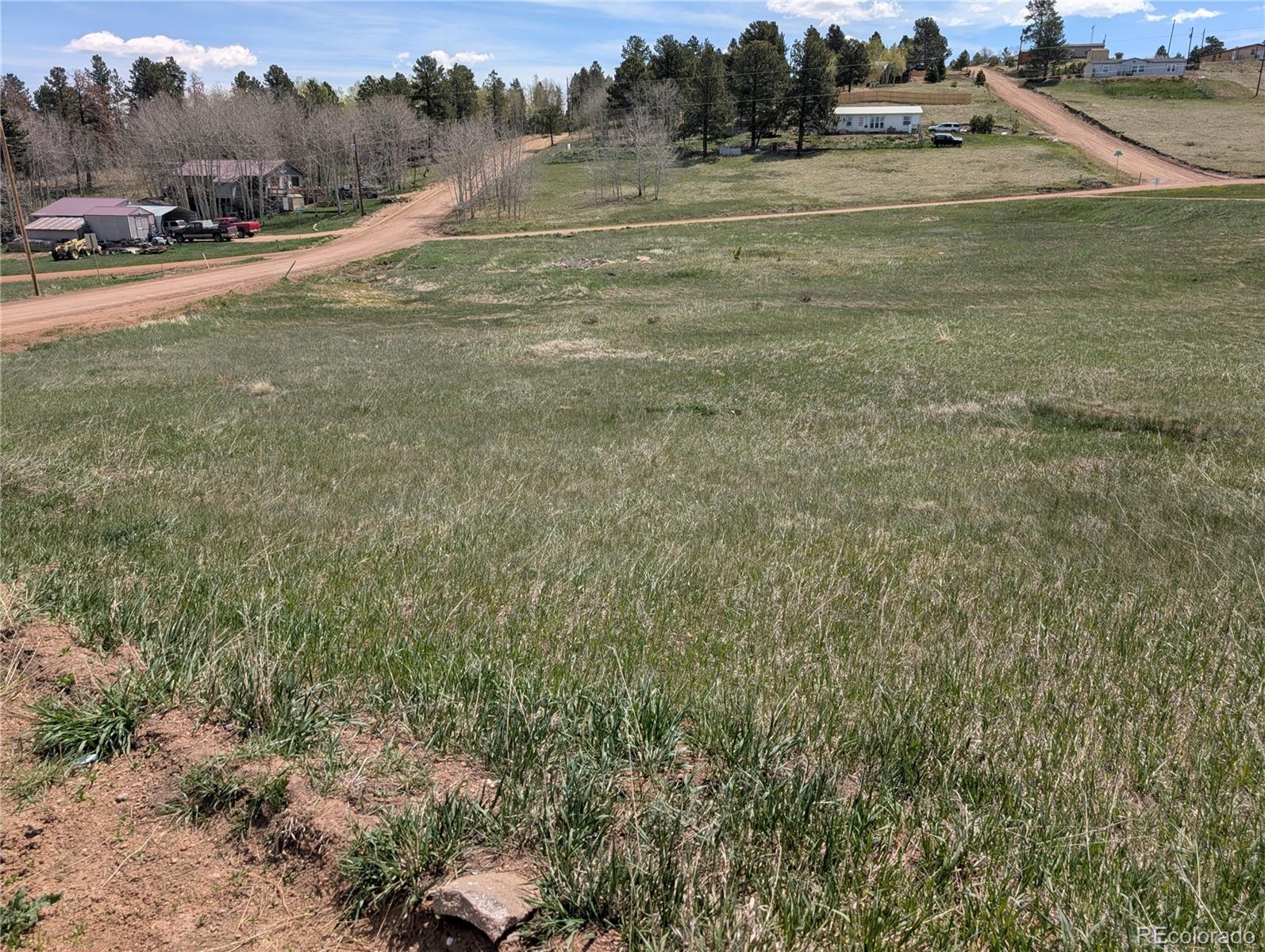 LOT81 + 82 Fountain Dale Lane Divide CO 80814