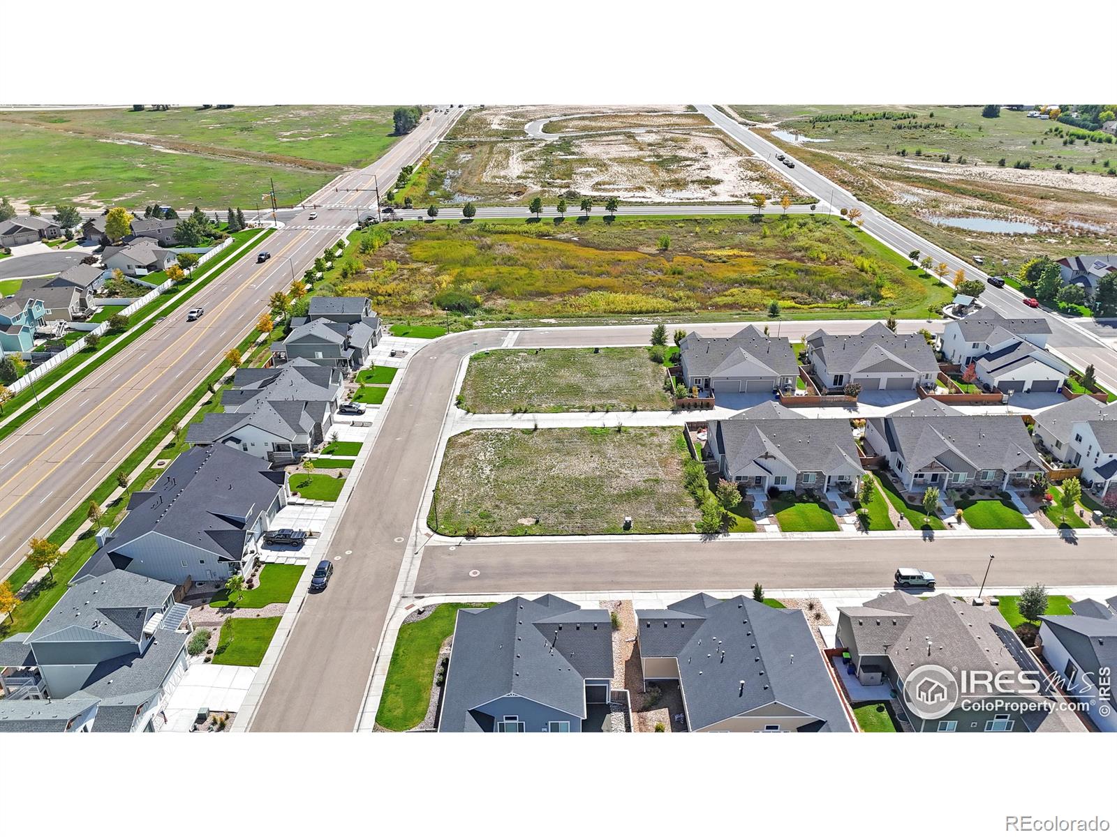 293 Turnberry Drive Windsor CO 80550