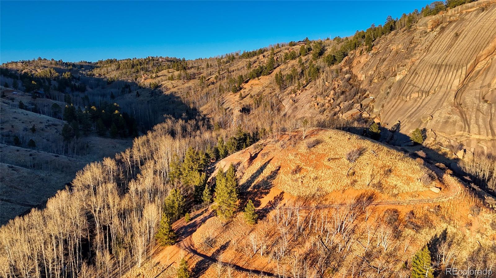 524 Buckhorn Road Cripple Creek CO 80813
