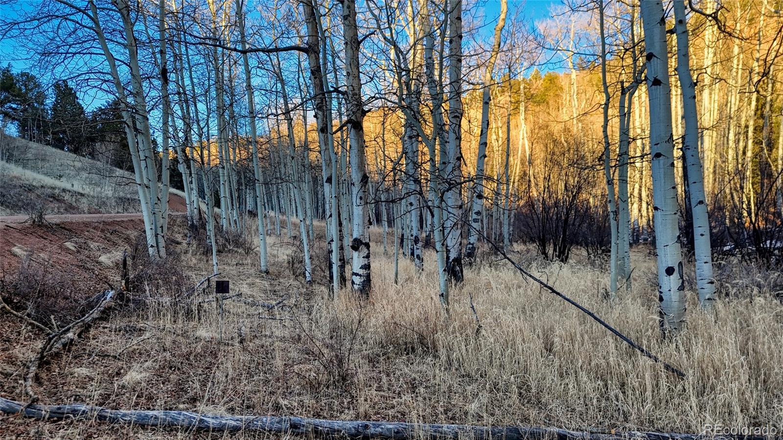 524 Buckhorn Road Cripple Creek CO 80813