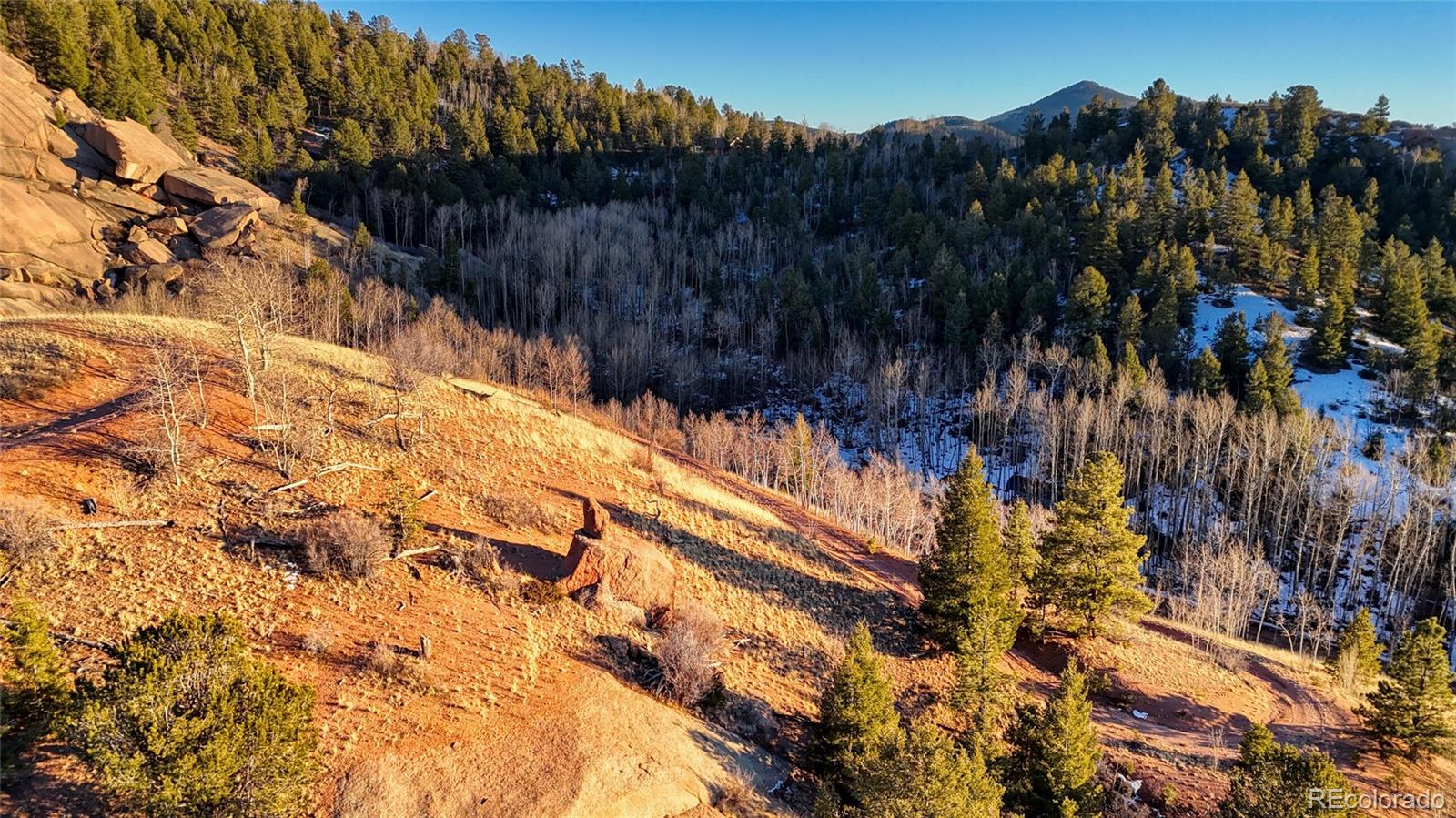 524 Buckhorn Road Cripple Creek CO 80813