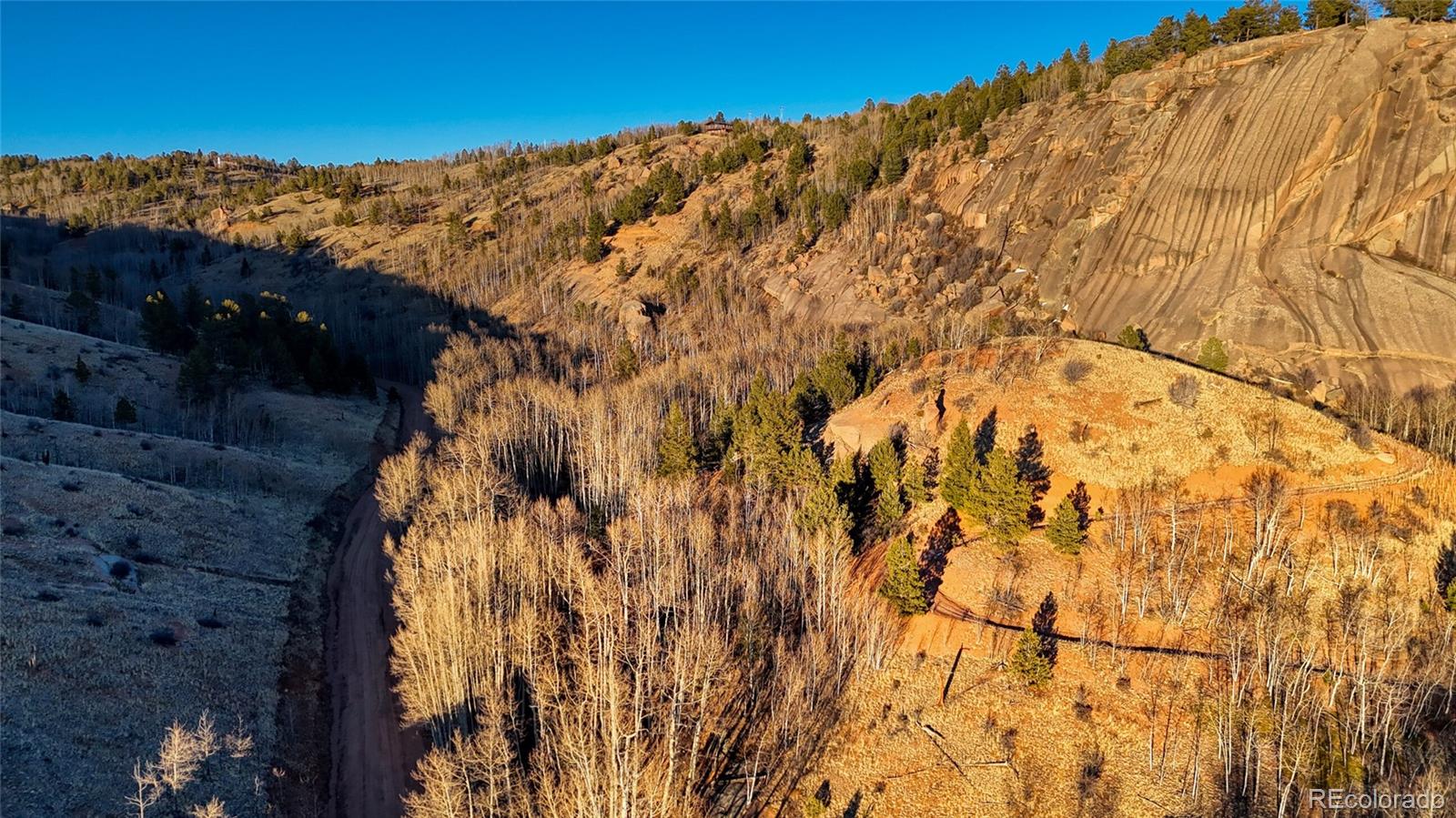 524 Buckhorn Road Cripple Creek CO 80813