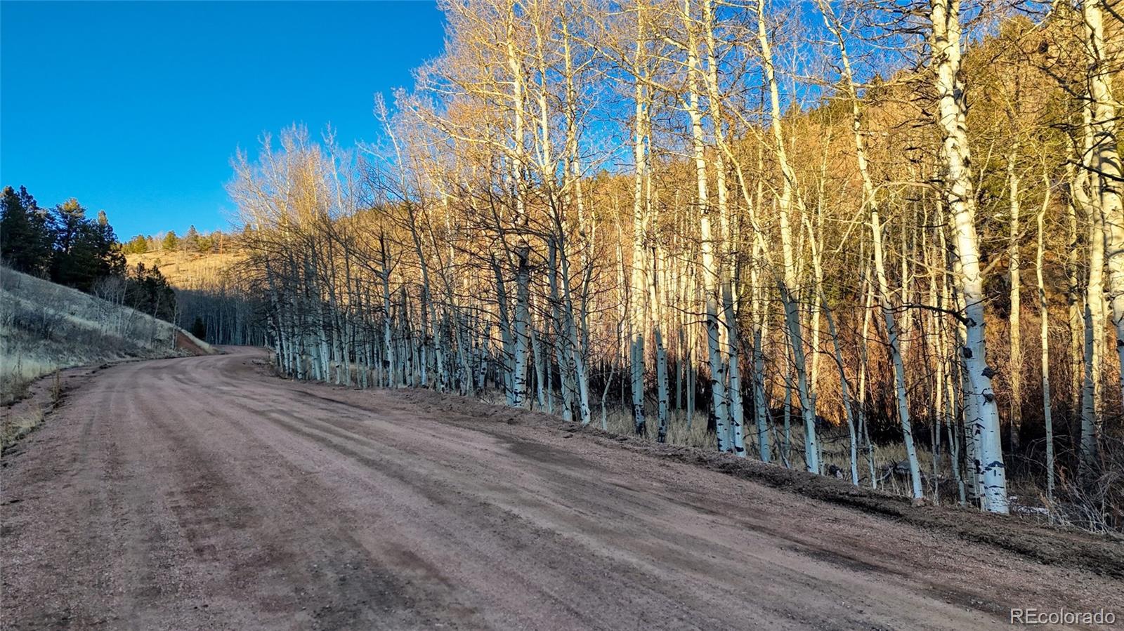 524 Buckhorn Road Cripple Creek CO 80813