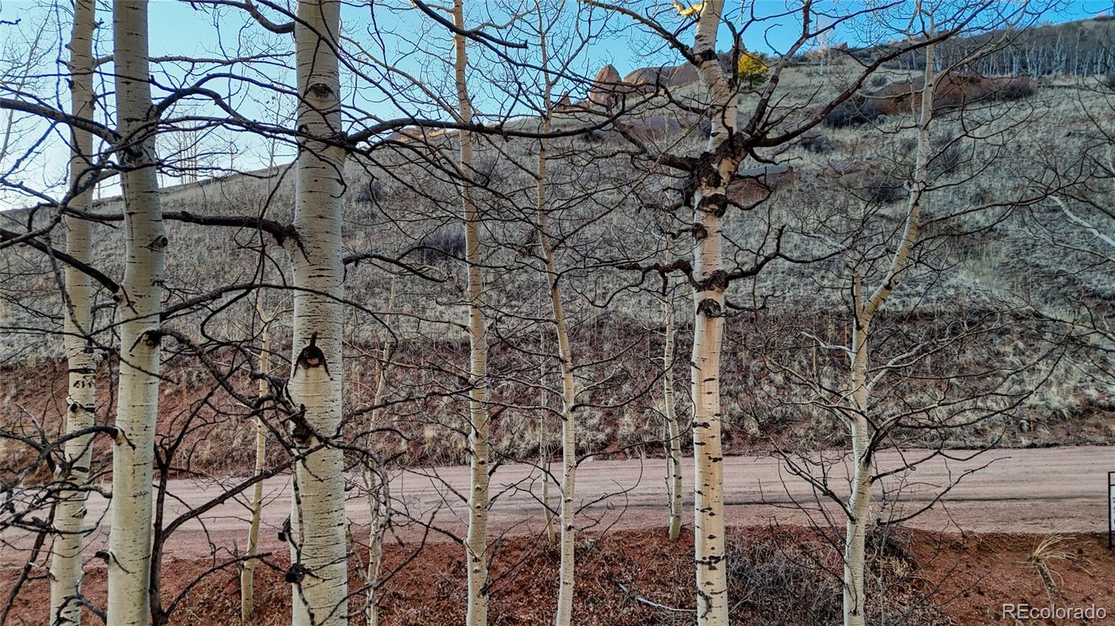 524 Buckhorn Road Cripple Creek CO 80813