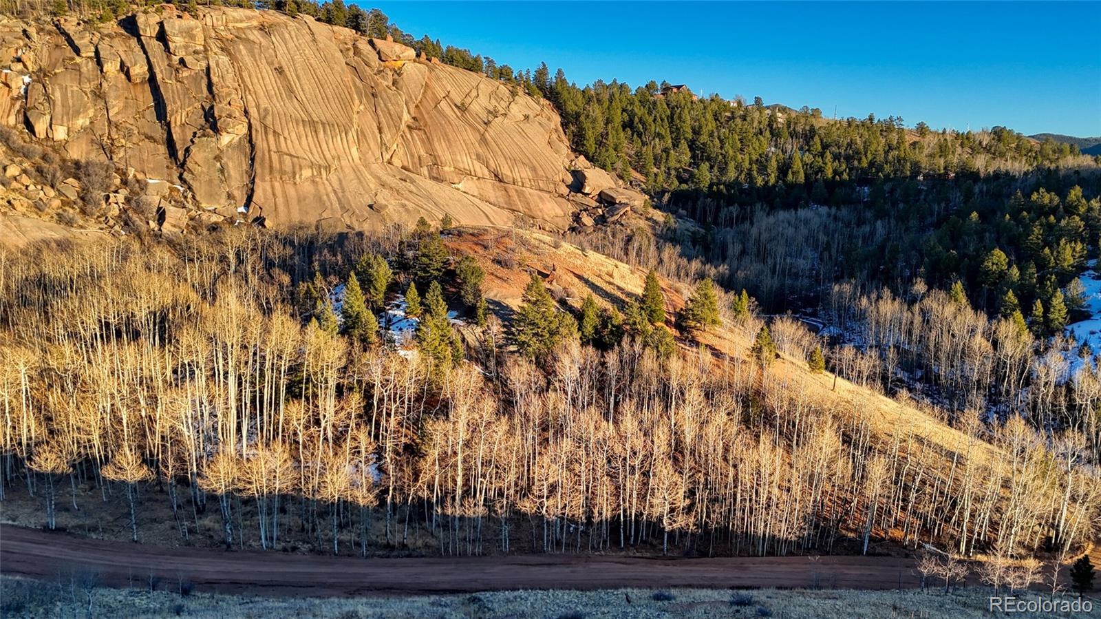 524 Buckhorn Road Cripple Creek CO 80813