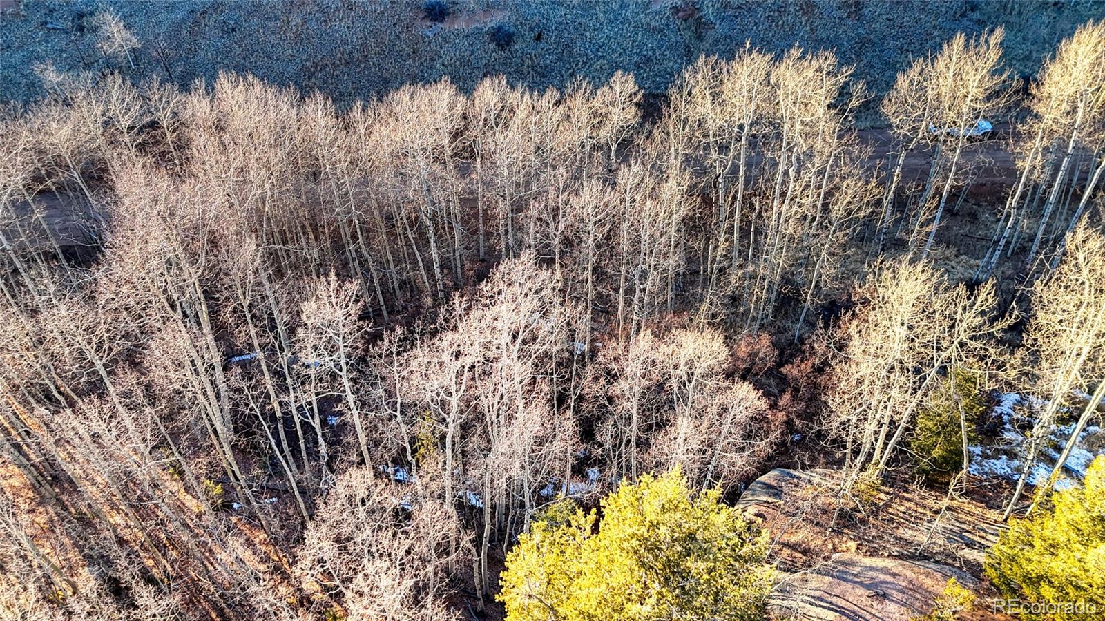 524 Buckhorn Road Cripple Creek CO 80813