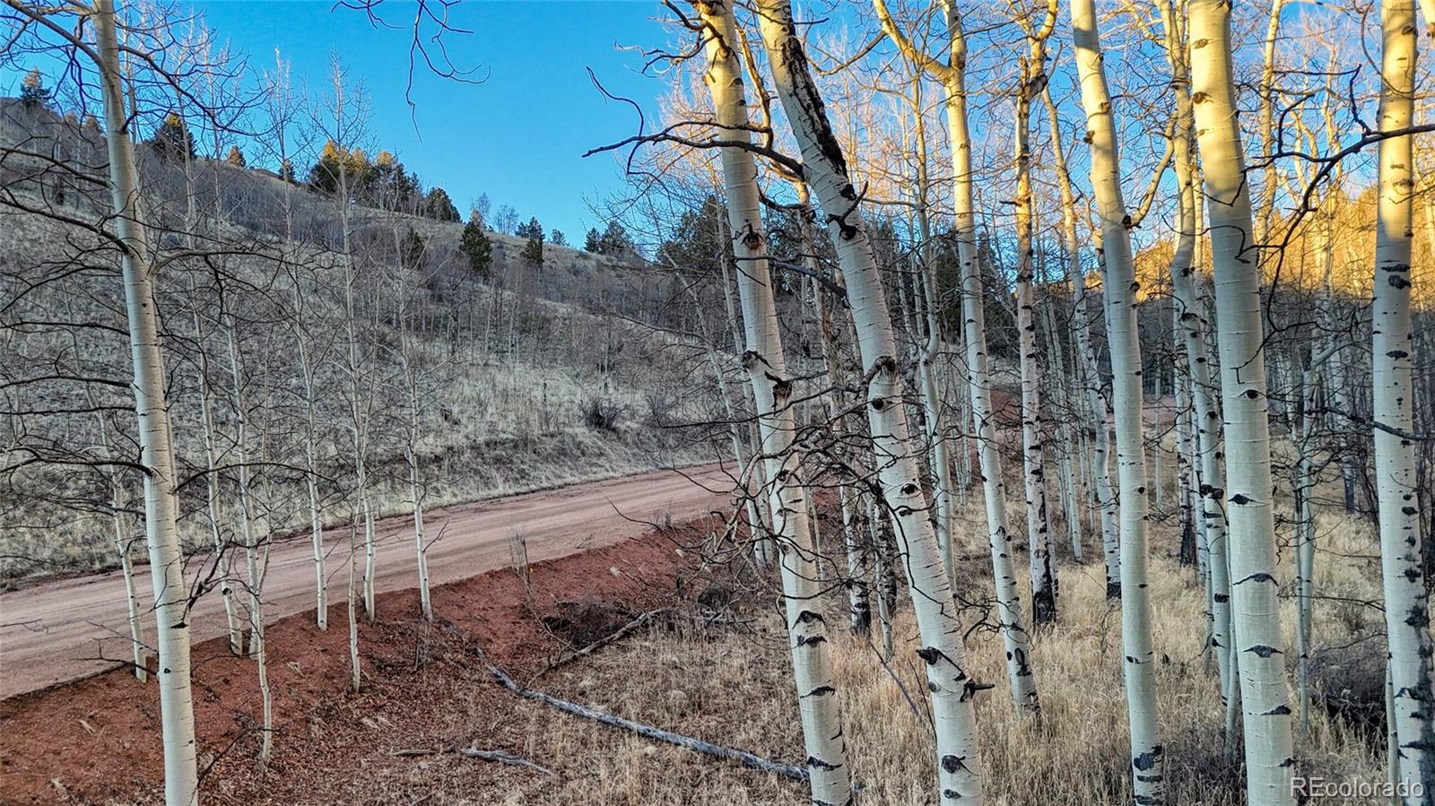 524 Buckhorn Road Cripple Creek CO 80813