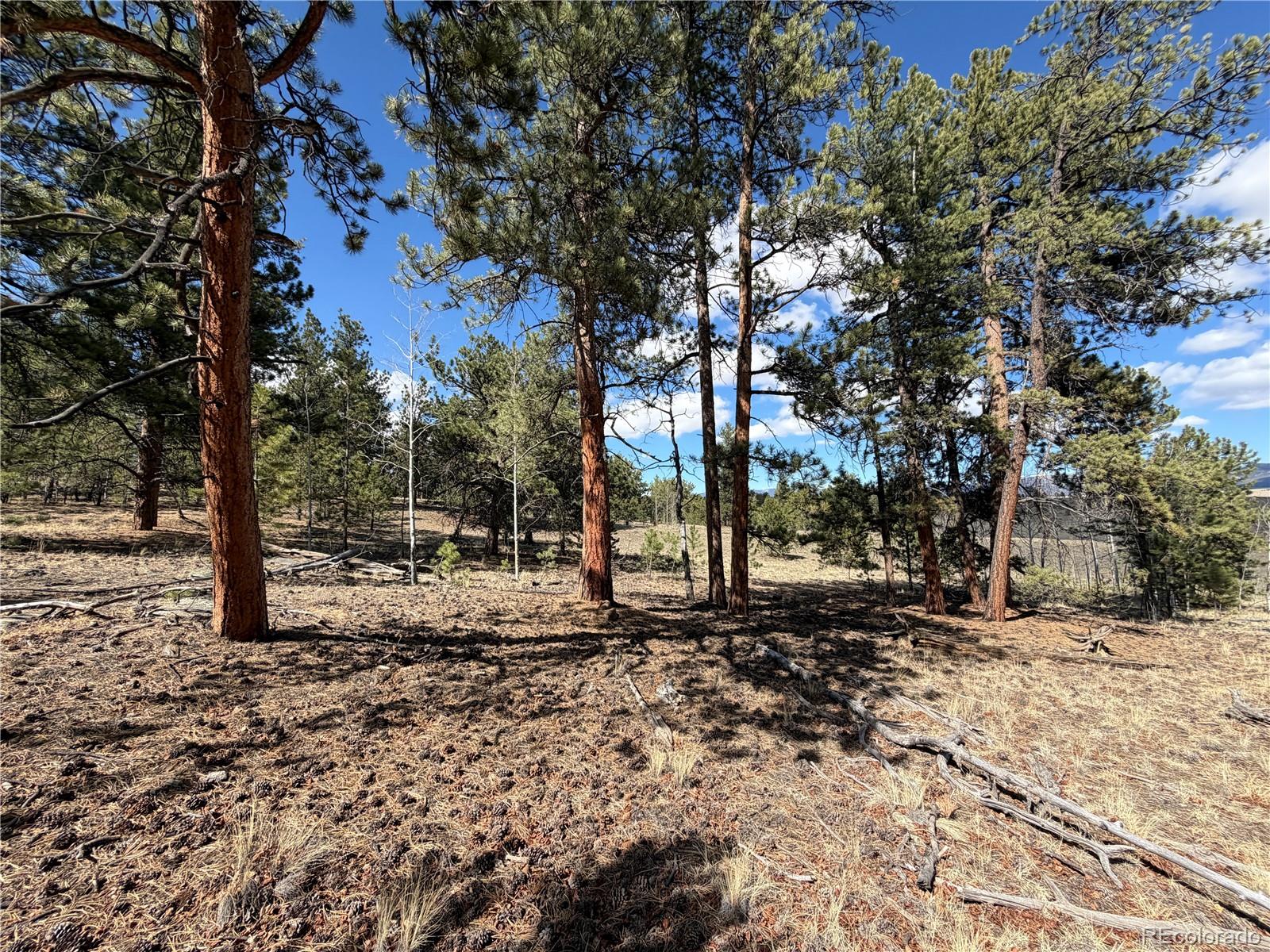 239 Shenandoah Path Hartsel CO 80449