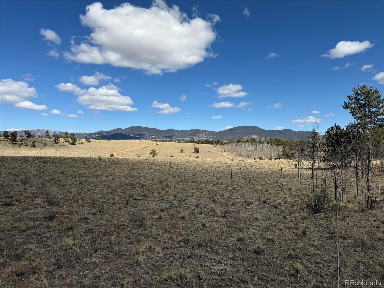 239 Shenandoah Path Hartsel CO 80449