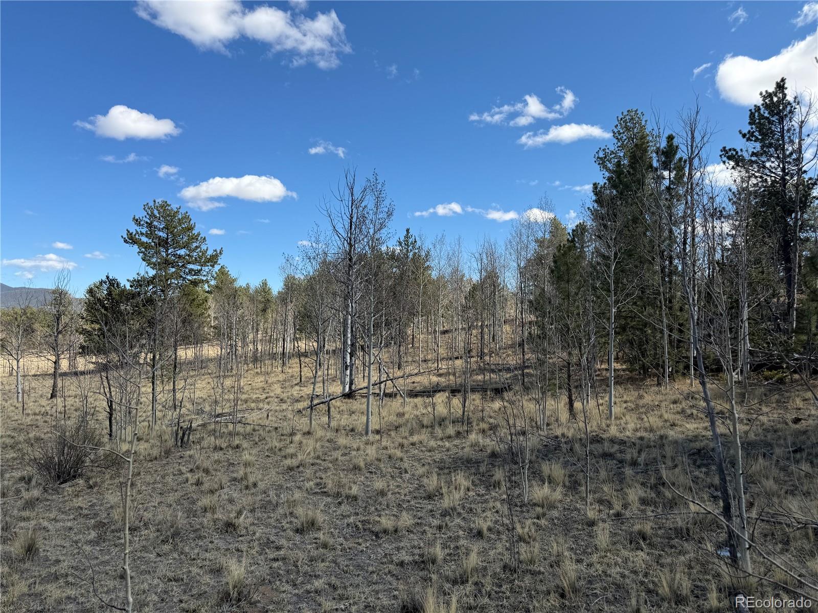 239 Shenandoah Path Hartsel CO 80449