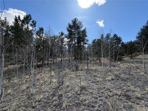 239 Shenandoah Path Hartsel CO 80449