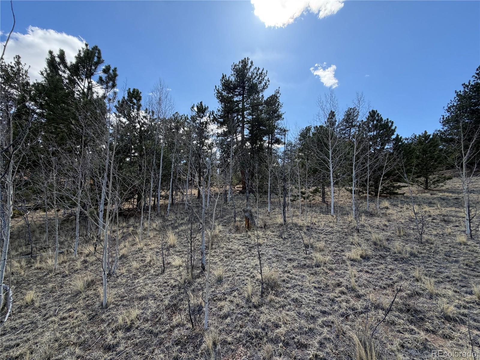 239 Shenandoah Path Hartsel CO 80449