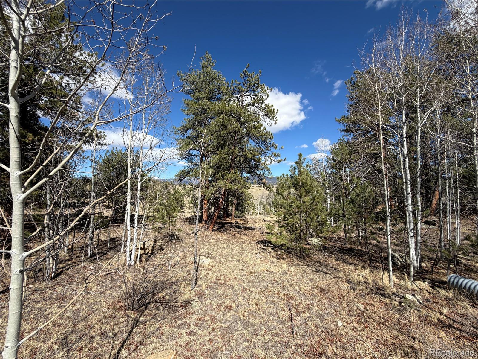 239 Shenandoah Path Hartsel CO 80449