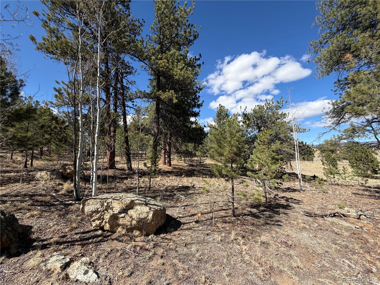 239 Shenandoah Path Hartsel CO 80449
