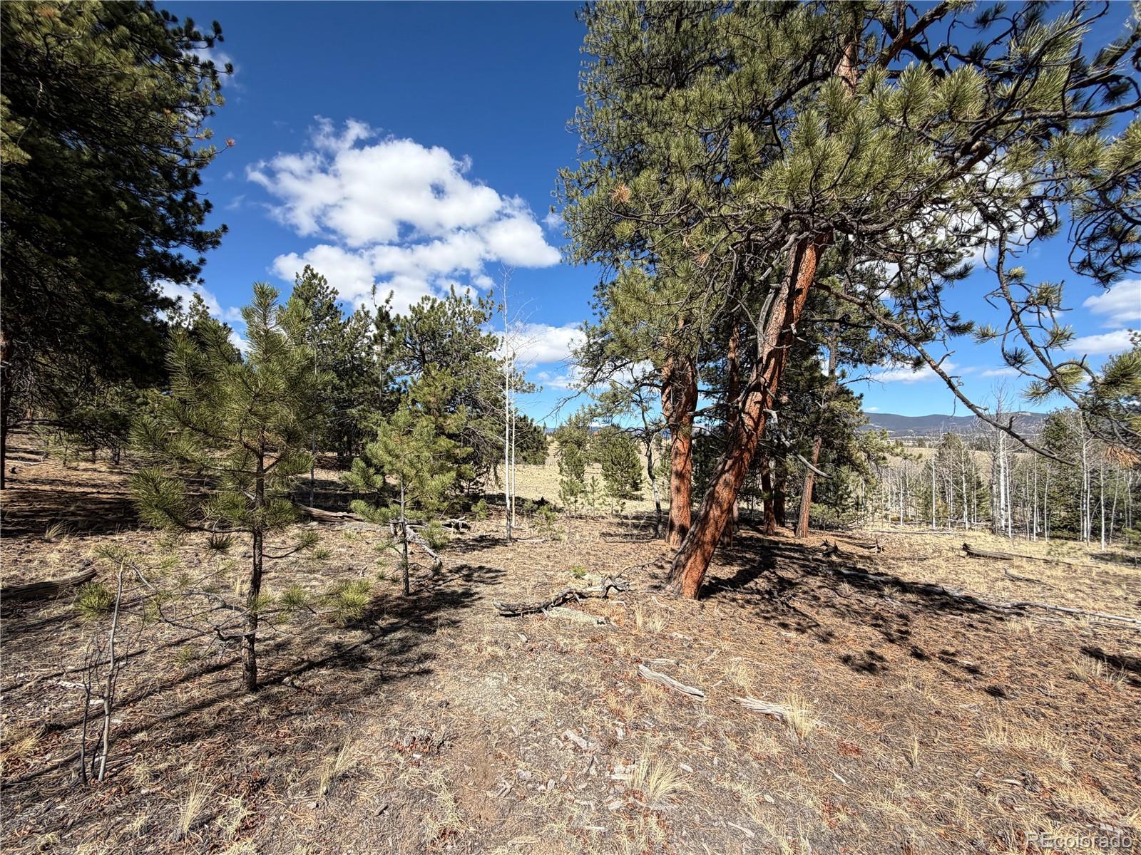239 Shenandoah Path Hartsel CO 80449