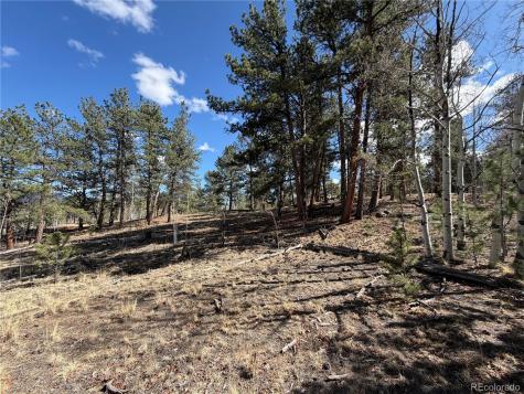 239 Shenandoah Path Hartsel CO 80449