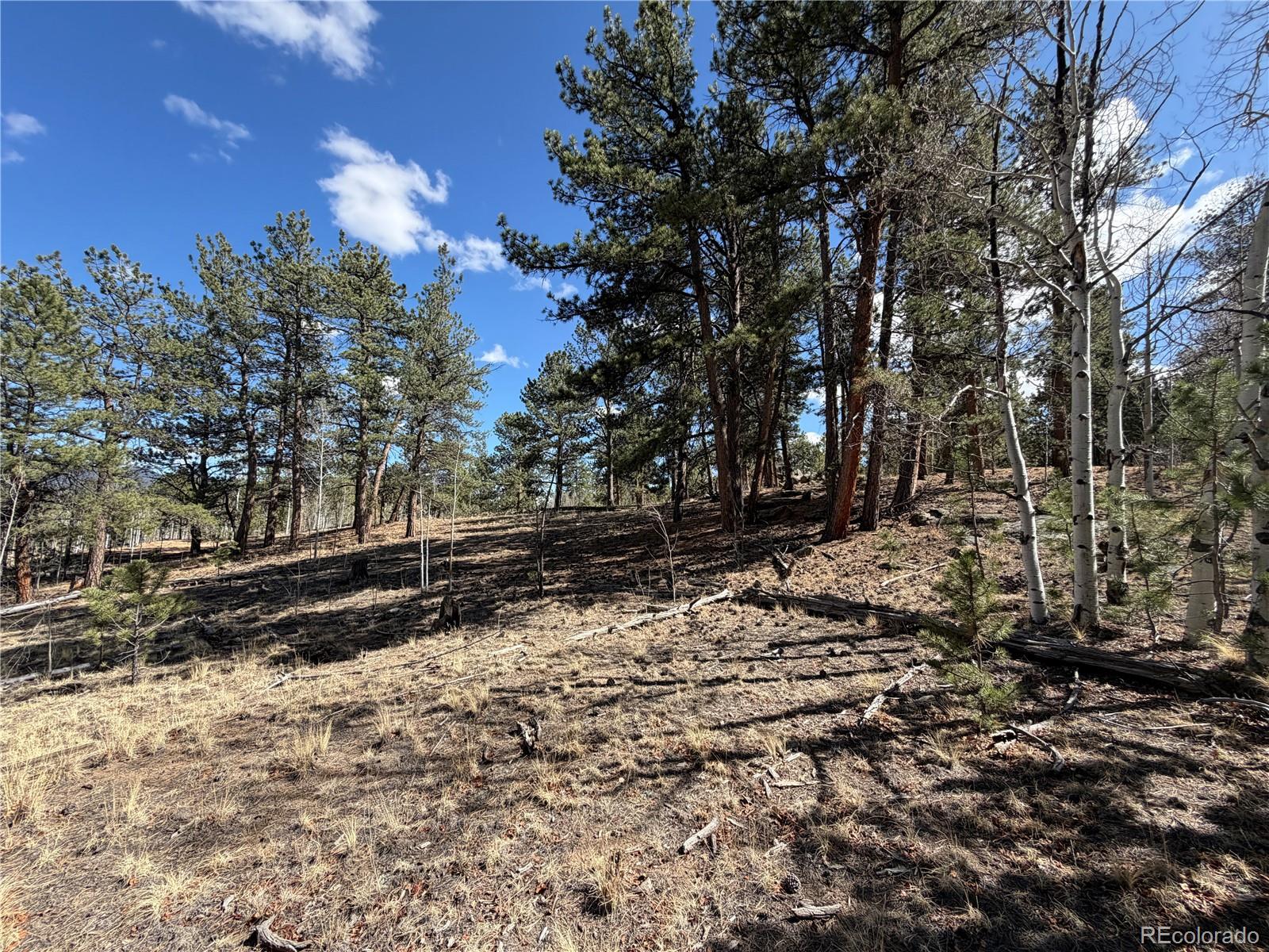 239 Shenandoah Path Hartsel CO 80449