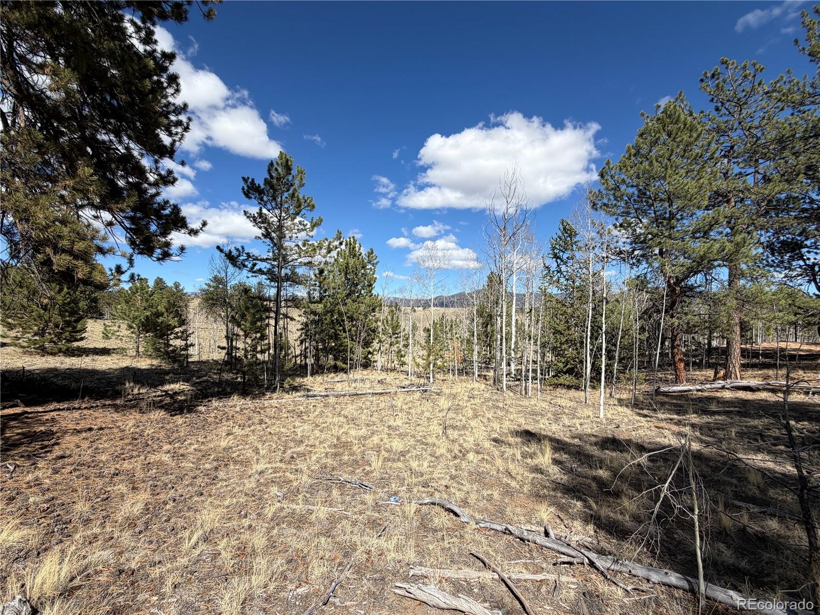 239 Shenandoah Path Hartsel CO 80449