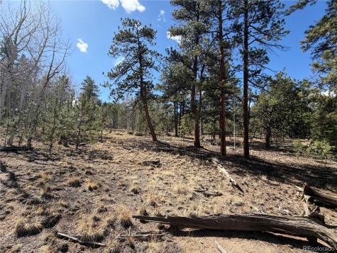 239 Shenandoah Path Hartsel CO 80449