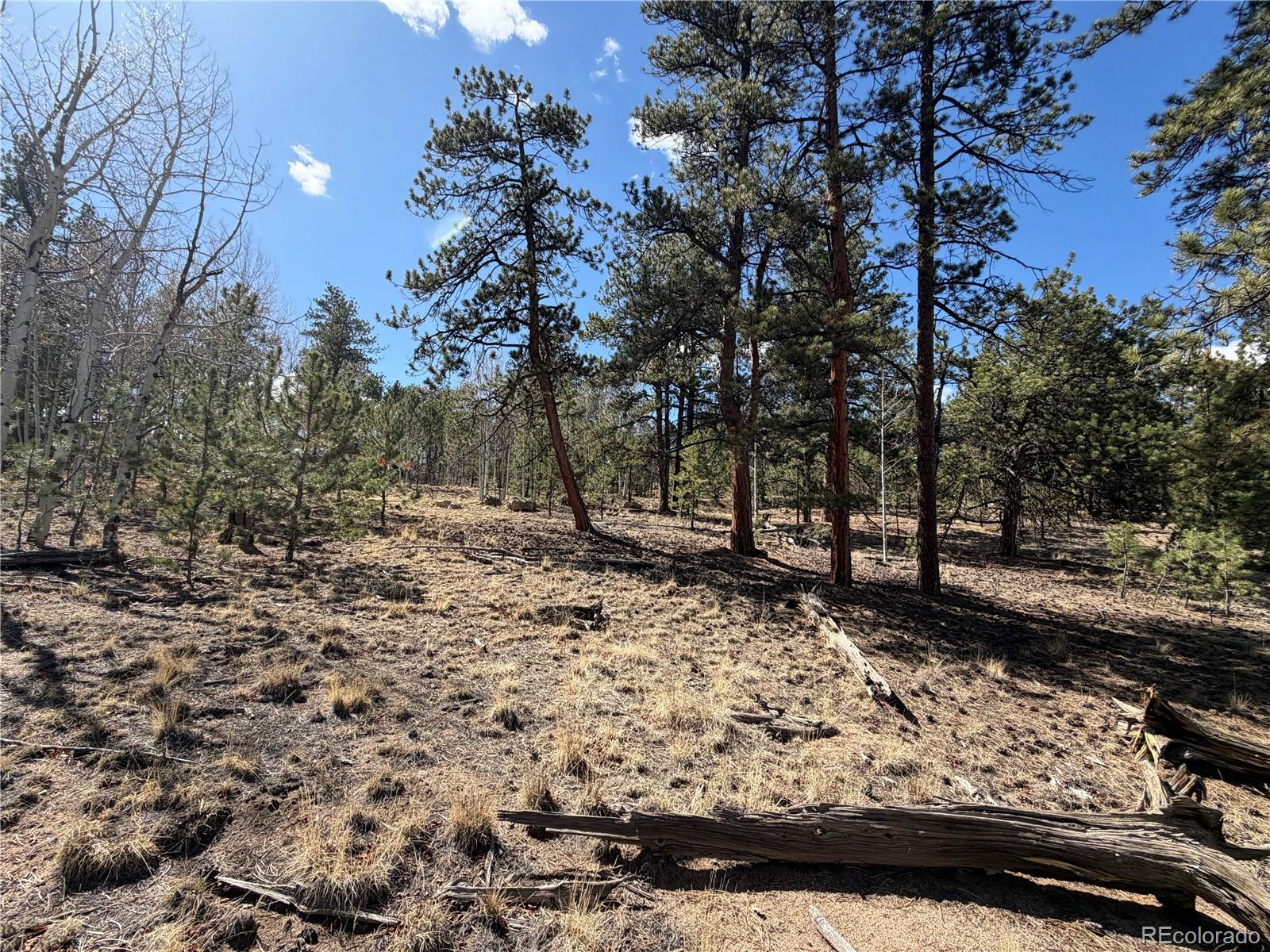 239 Shenandoah Path Hartsel CO 80449