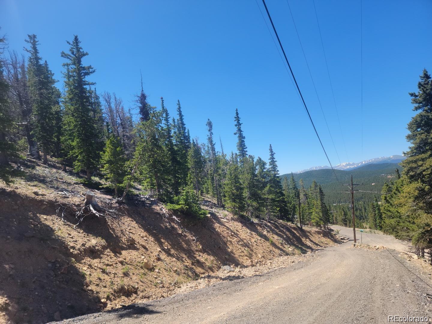 Mine Road Idaho Springs CO 80444