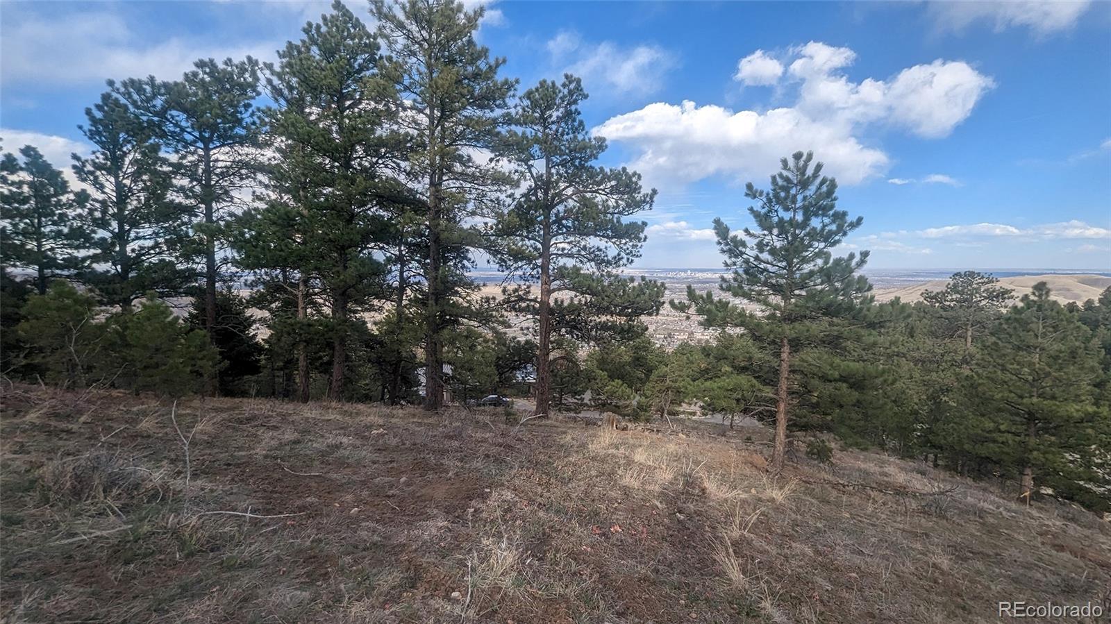 20524 Skyview Meadow Lane Golden CO 80401