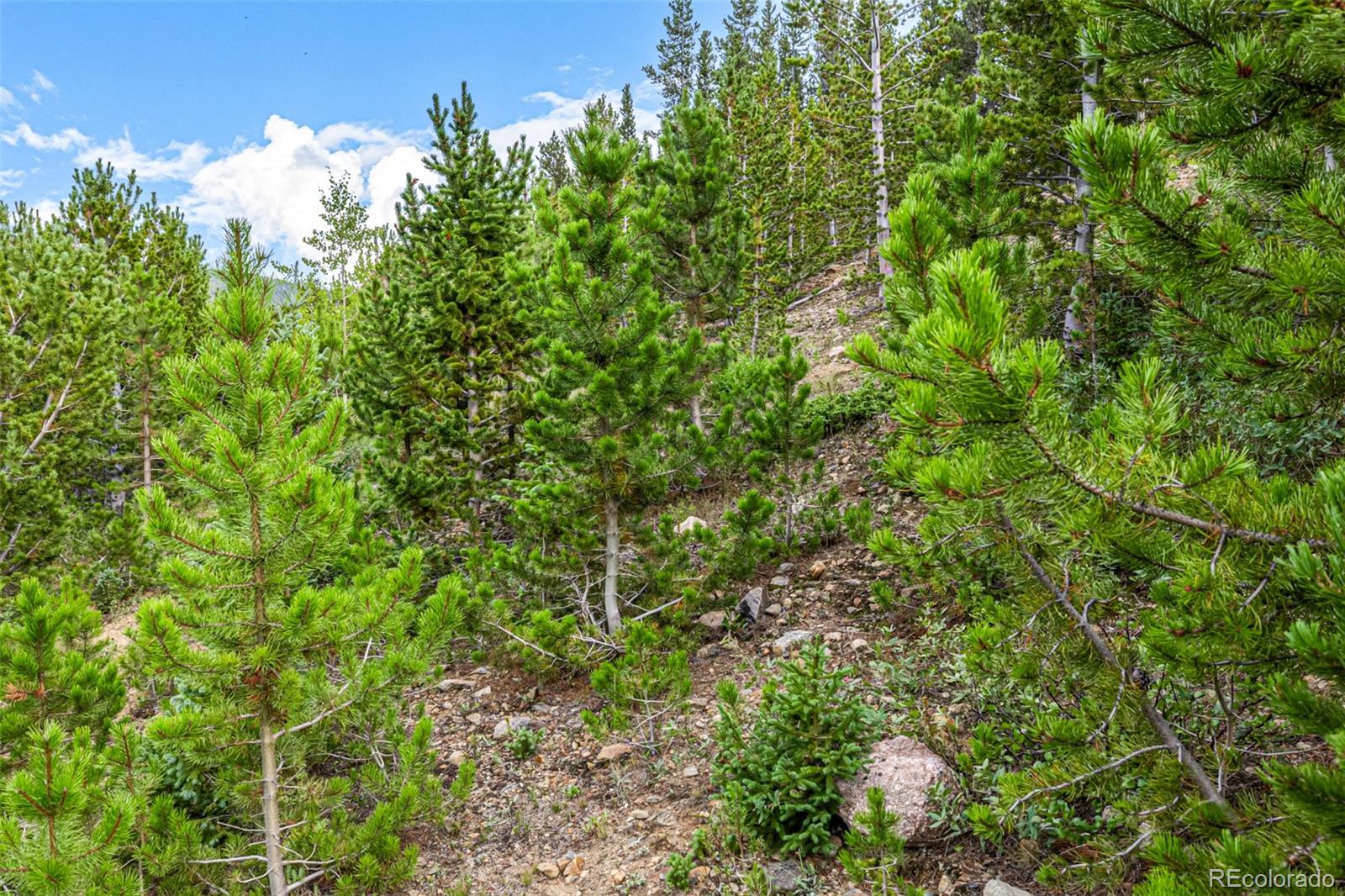 Aspen Road Idaho Springs CO 80452