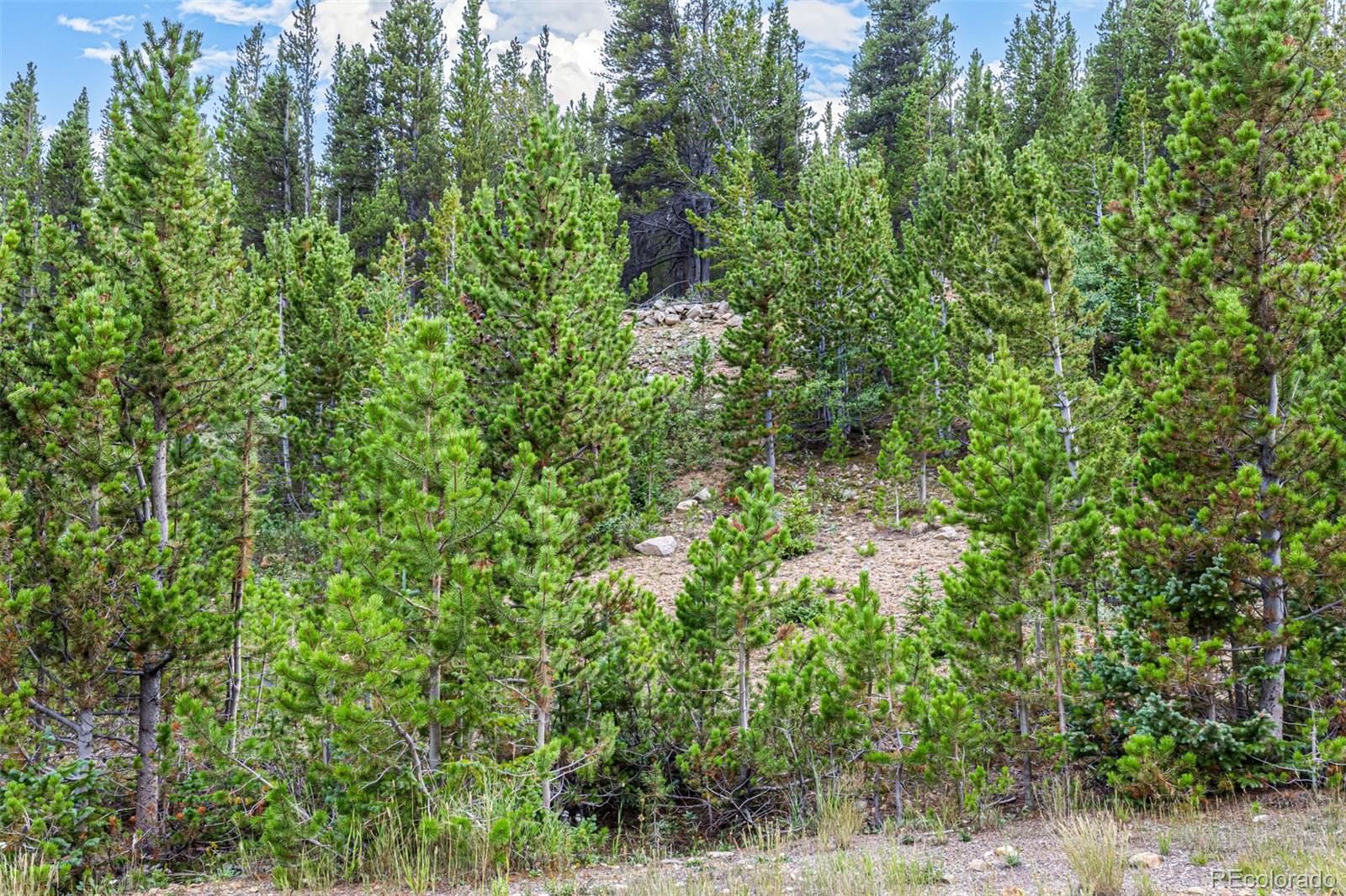 Aspen Road Idaho Springs CO 80452