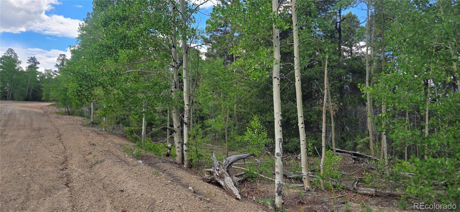 Lot 5778 Balleroy Road Fort Garland CO 81133