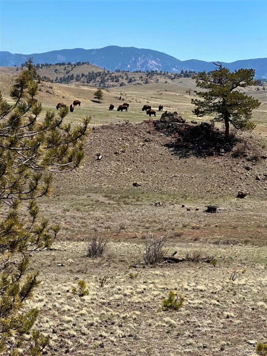 391 Gulch Road Hartsel CO 80449