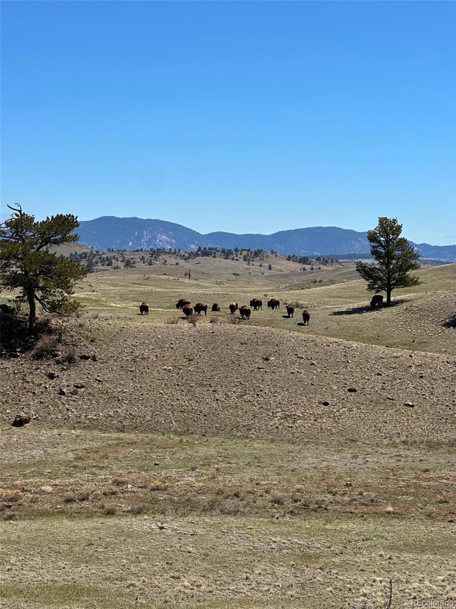 391 Gulch Road Hartsel CO 80449